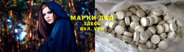 индика Елабуга