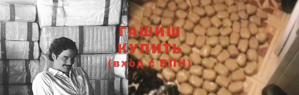индика Елабуга