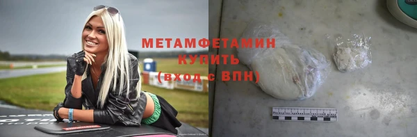 индика Елабуга