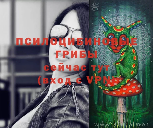 первитин Дмитровск
