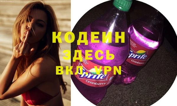 МДПВ Елизово