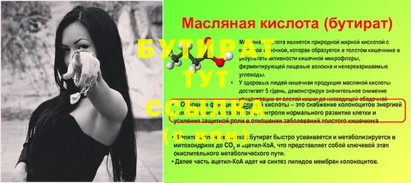 индика Елабуга