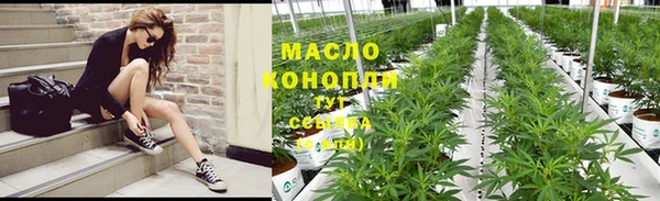 индика Елабуга