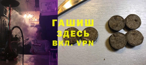 индика Елабуга